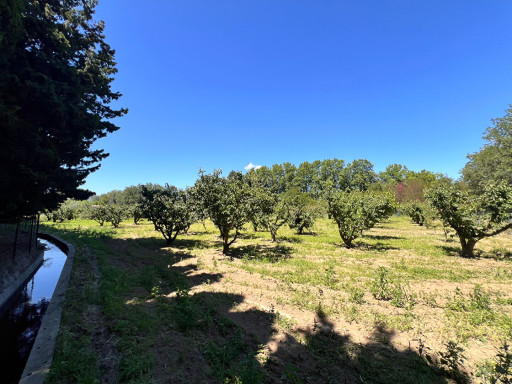 terrain vente Pézilla-la-rivière