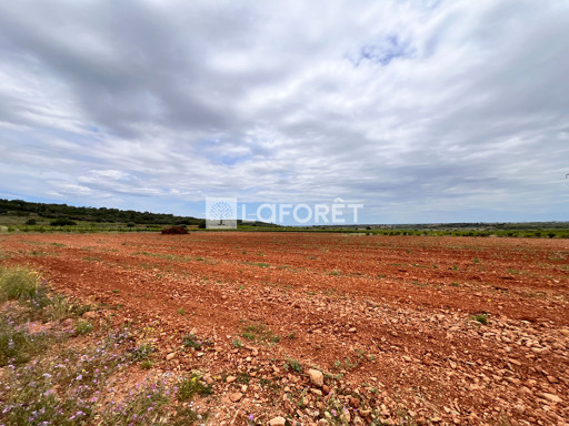 terrain vente Baixas