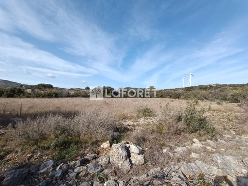 terrain vente Opoul-périllos