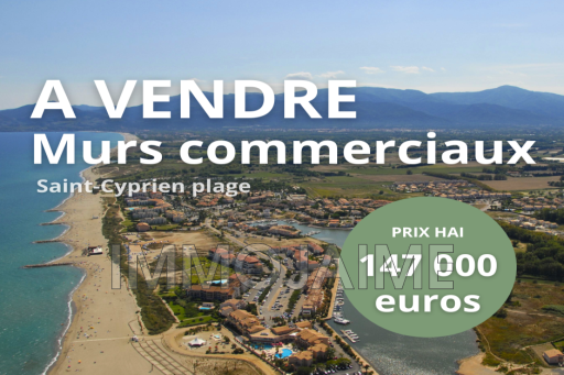 local vente Saint-cyprien