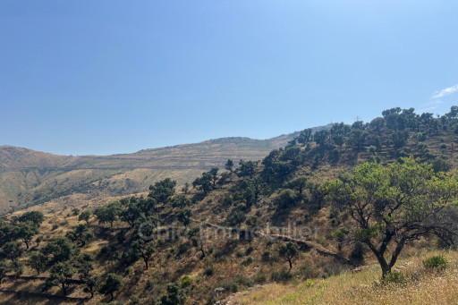 terrain vente Banyuls-sur-mer