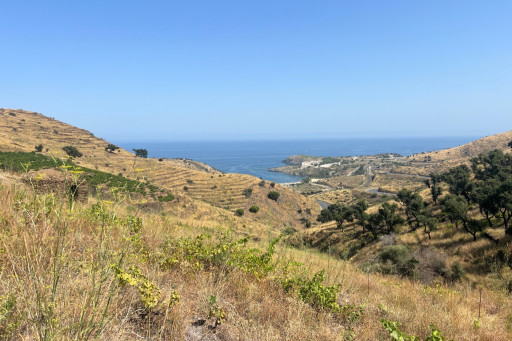 terrain vente Banyuls-sur-mer