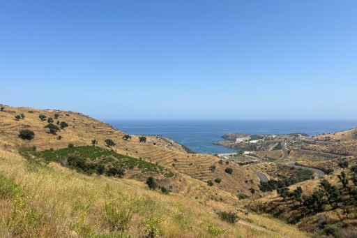 terrain vente Banyuls-sur-mer