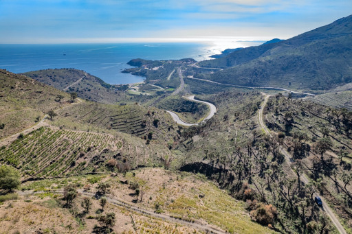 terrain vente Banyuls-sur-mer