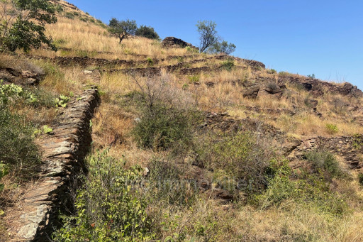 terrain vente Banyuls-sur-mer