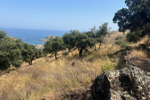 terrain vente Banyuls-sur-mer