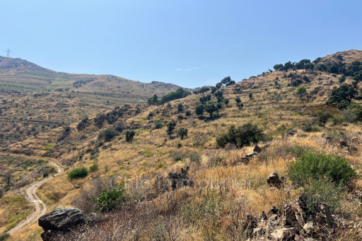 terrain vente Banyuls-sur-mer