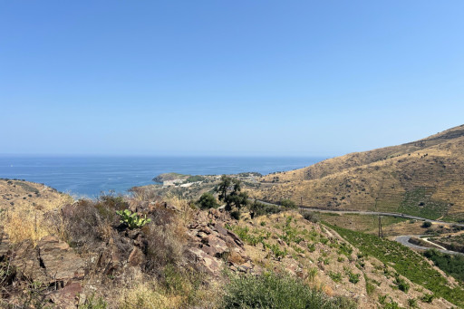 terrain vente Banyuls-sur-mer