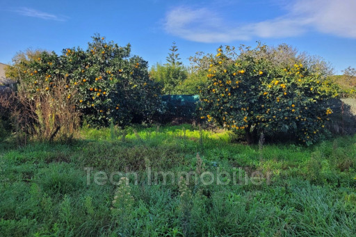 maisonvilla vente Argelès-sur-mer