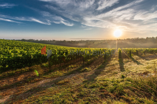 terrain vente Baixas