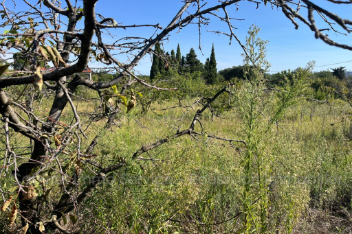 terrain vente Céret