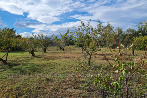 terrain vente Céret