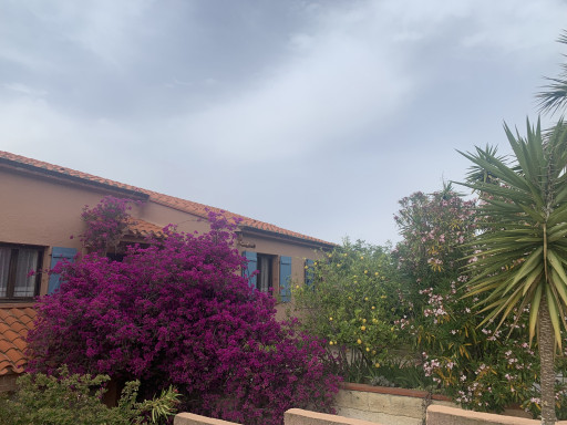 maisonvilla vente Banyuls-sur-mer