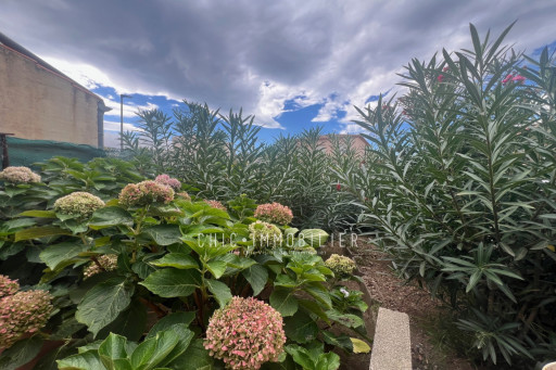 maisonvilla vente Argelès-sur-mer