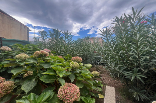 maisonvilla vente Argelès-sur-mer