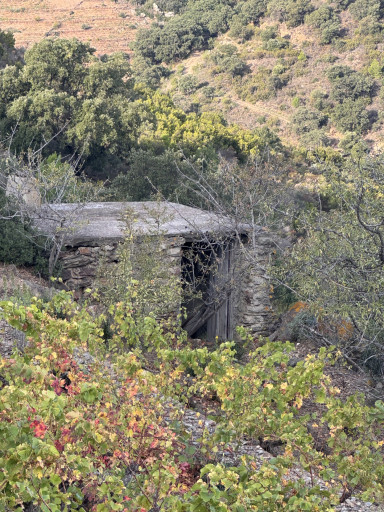 terrain vente Port-vendres