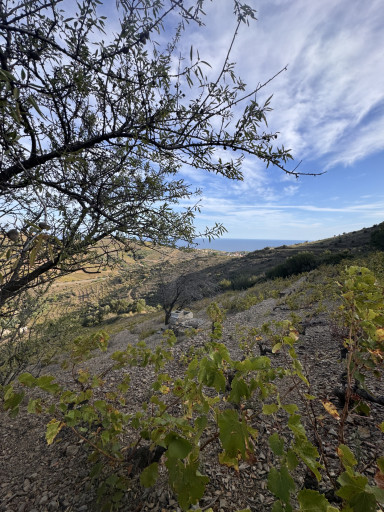 terrain vente Port-vendres