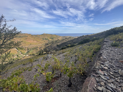 terrain vente Port-vendres