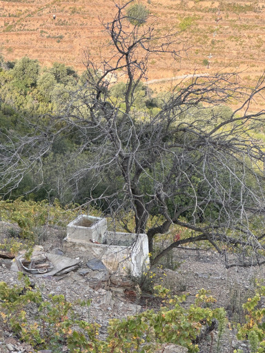 terrain vente Port-vendres