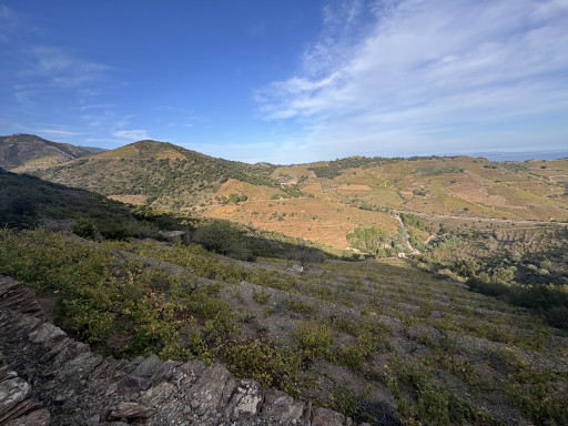 terrain vente Port-vendres