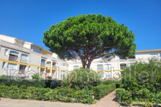 appartement vente Argelès-sur-mer