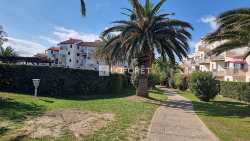 appartement à louer Saint-cyprien